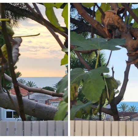 Detente Oceane S2 Proche De La Mer Wifi Clim Cagnes-sur-Mer Exterior foto