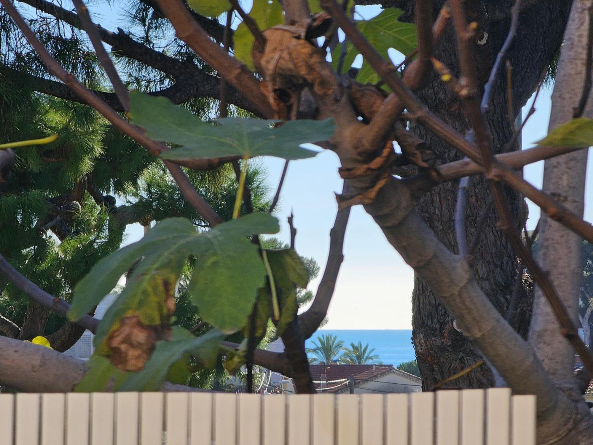 Detente Oceane S2 Proche De La Mer Wifi Clim Cagnes-sur-Mer Exterior foto