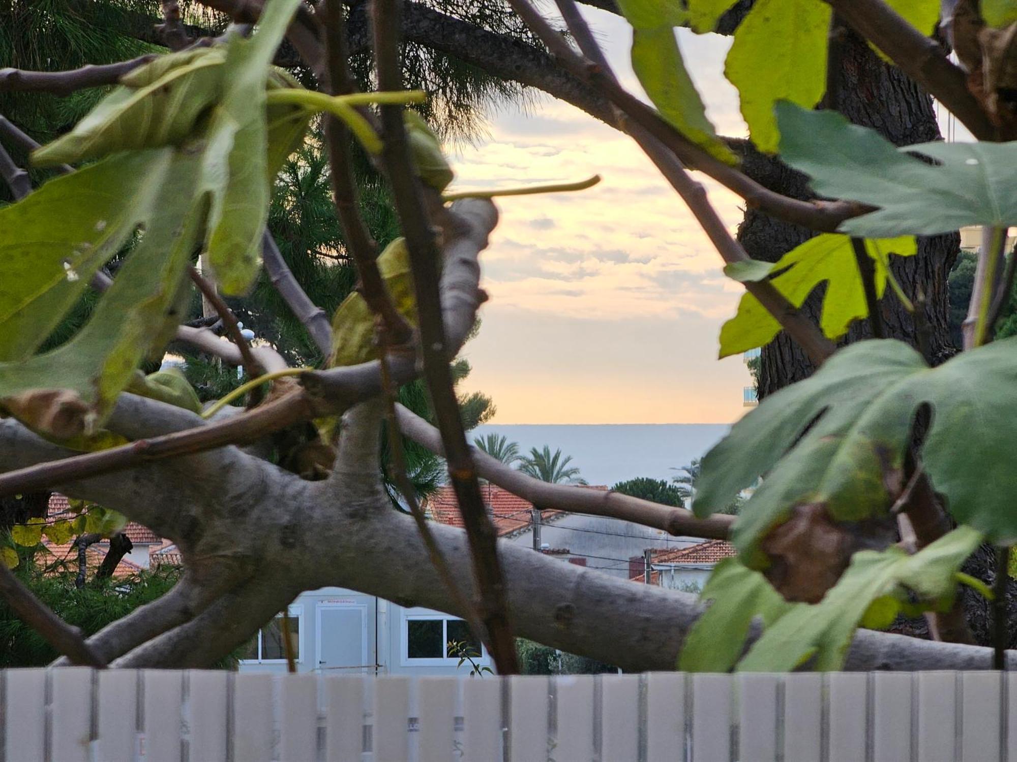 Detente Oceane S2 Proche De La Mer Wifi Clim Cagnes-sur-Mer Exterior foto